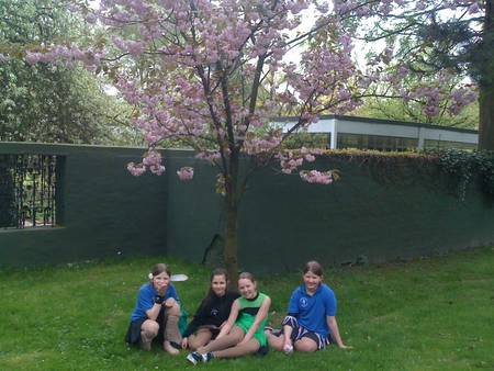 Lehrgang norddeutscher Verbände 2011